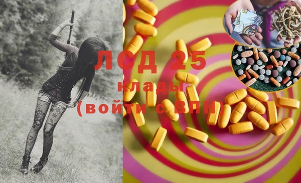 ECSTASY Абаза