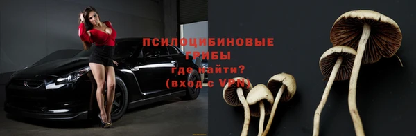 spice Алзамай