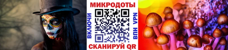 закладки  Ухта  Галлюциногенные грибы MAGIC MUSHROOMS 