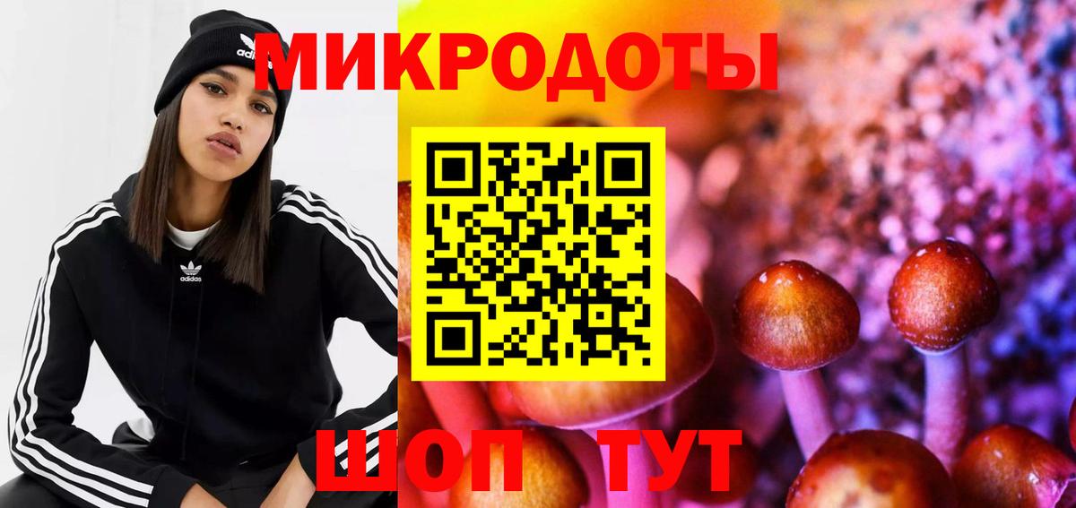 Псилоцибиновые грибы мицелий  где найти   Ухта  Вход с VPN 